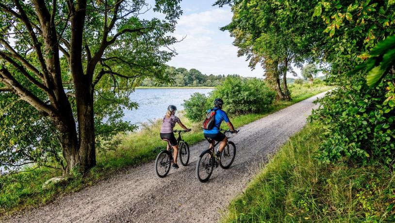 Rute 32, cykelrute, Mariager Fjord