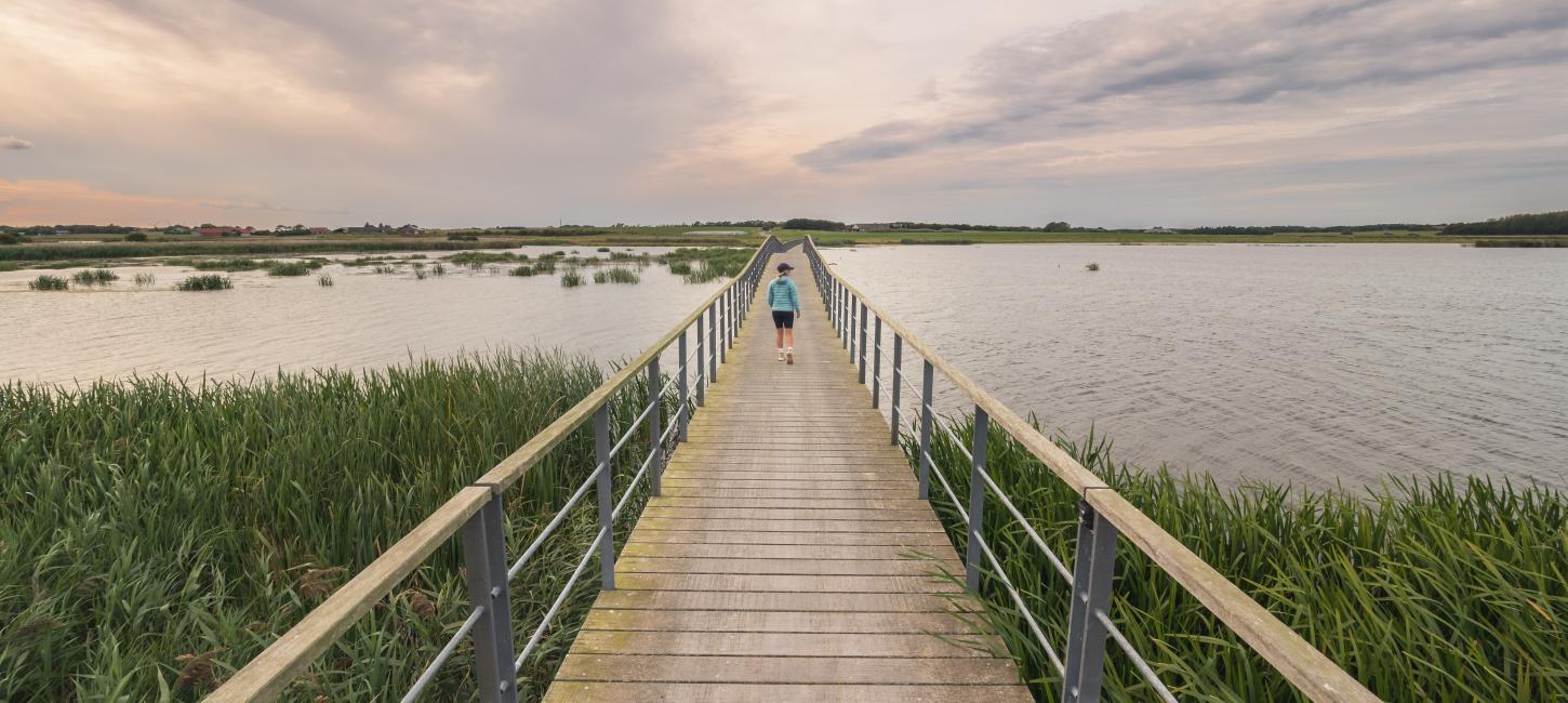 Vilsted Sø - vandring i Himmerland